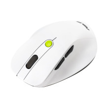 ASUS MD105 / VT-GN pelė Universali dešiniarankiams RF belaidė + „Bluetooth“ 2400 DPI