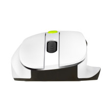 ASUS MD105 / VT-GN pelė Universali dešiniarankiams RF belaidė + „Bluetooth“ 2400 DPI