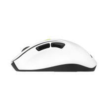 ASUS MD105 / VT-GN mouse Universal Right-hand RF Wireless + Bluetooth 2400 DPI