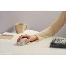 Kompiuterinė Pelė - ASUS MD105 / MK-WH 2400 DPI Bevielis Bluetooth Dešinės Rankos Baltas Kompiuterinė Pelė - ASUS MD105 / MK-WH 2400 DPI Bevielis Bluetooth Dešinės Rankos Baltas