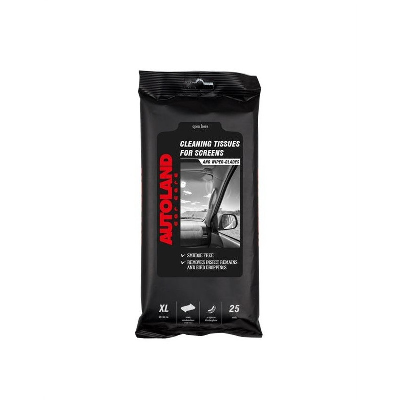 DAMP CAR WINDOWS WIPES