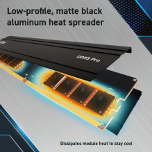 Atminties Modulis - Crucial Pro DDR5 48GB 5600MHz ECC Atminties Modulis Juodas