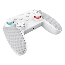 Spēļu kontrolieris Trust GXT 1246 Muta fot Nintendo Switch White 8713439254266