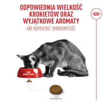 ROYAL CANIN Exigent Fussy - sausas kačių ėdalas - 4 kg ROYAL CANIN Exigent Fussy - sausas kačių ėdalas - 4 kg