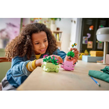 CONSTRUCTOR ROCKING PLANTS CONSTRUCTOR ROCKING PLANTS