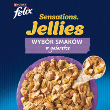 Purina Felix Sensations Mix šlapias kačių ėdalas su kalakutiena, skumbrine, ėriena ir silke, 12 x 85 g Purina Felix Sensations Mix šlapias kačių ėdalas su kalakutiena, skumbrine, ėriena ir silke, 12 x 85 g