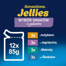 Purina Felix Sensations Mix šlapias kačių ėdalas su kalakutiena, skumbrine, ėriena ir silke, 12 x 85 g Purina Felix Sensations Mix šlapias kačių ėdalas su kalakutiena, skumbrine, ėriena ir silke, 12 x 85 g