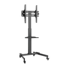 TV SET ACC FLOOR STAND 32-55" / TVS-55T-01 GEMBIRD