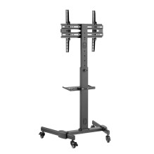 TV SET ACC FLOOR STAND 32-55" / TVS-55T-01 GEMBIRD