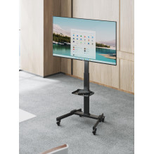 TV SET ACC FLOOR STAND 32-55" / TVS-55T-01 GEMBIRD