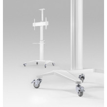 TV SET ACC FLOOR STAND 37-70" / WHITE TVS-70T-02-W GEMBIRD