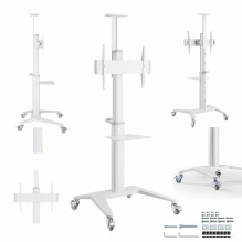 TV SET ACC FLOOR STAND 37-70" / WHITE TVS-70T-02-W GEMBIRD