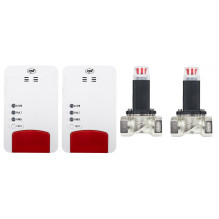 PNI Safe House Dual Gas 250...