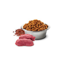 FARMINA ND Quinoa Dog SkinCoat VenisonCoconut Adult MediumMaxi - sausas šunų ėdalas - 7 kg FARMINA ND Quinoa Dog SkinCoat VenisonCoconut Adult MediumMaxi - sausas šunų ėdalas - 7 kg