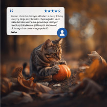 FARMINA N&D Pumpkin Cat Lamb and Blueberry Neutered Adult - dry cat food - 1.5 kg FARMINA N&D Pumpkin Cat Lamb and Blueberry Neutered Adult - dry cat food - 1.5 kg