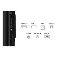 TCL P8K 55P8K 55 colių 4K QLED HDR išmanusis televizorius