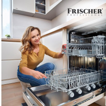 Frischer Dishwasher Cleaner 0.25l