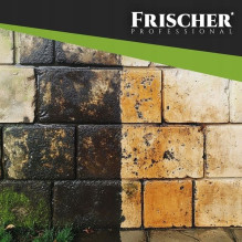 Frischer fasadų valiklis 1 l