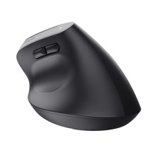 „Trust Bayo+“ belaidė dešiniarankė pelė „Office“, RF, optinė „Bluetooth“, 2400 DPI