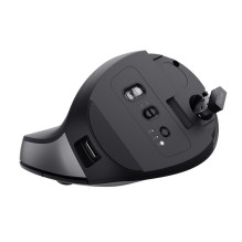 „Trust Bayo+“ belaidė dešiniarankė pelė „Office“, RF, optinė „Bluetooth“, 2400 DPI
