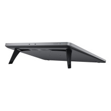 GRAFINĖ PLANŠETĖ 409X230MM / ARTIST PRO 19 (2-OS GENERACIJA) XPPEN