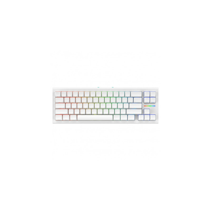 NUBI NK68 HE White, G3MS Magnetite, Ice Switch, US