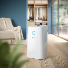 DRĖGMĖS SUŠLAPINTUVAS IR ORO VALYTUVAS / DE3306 / 11 PHILIPS