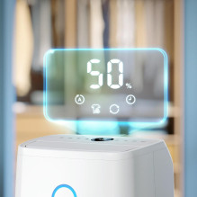 DRĖGMĖS SUŠLAPINTUVAS IR ORO VALYTUVAS / DE3306 / 11 PHILIPS