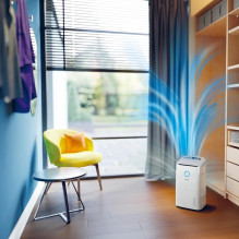 DRĖGMĖS SUŠLAPINTUVAS IR ORO VALYTUVAS / DE5305 / 11 PHILIPS DRĖGMĖS SUŠLAPINTUVAS IR ORO VALYTUVAS / DE5305 / 11 PHILIPS