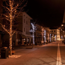 Lauko ir vidaus girlianda (LED lemputės) 20 m PROLED juoda Lauko ir vidaus girlianda (LED lemputės) 20 m PROLED juoda