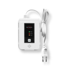 Professional gas leak...