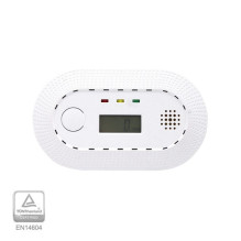 Carbon monoxide (fine)...