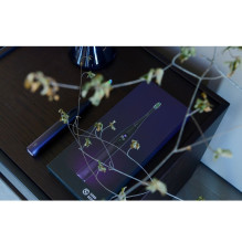 „Oclean“ elektrinis dantų šepetėlis X Pro violetinis