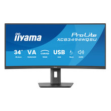 iiyama ProLite...