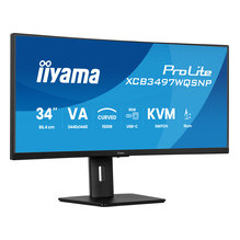 iiyama ProLite...
