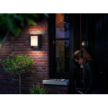 Tvirtinamas šviestuvas Philips 164609316 Arbour 1X6,5W LED