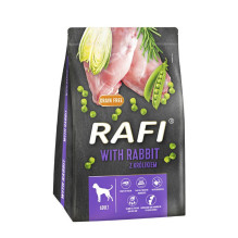 RAFI with rabbit - dry dog...