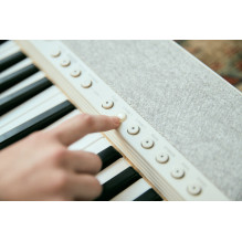 Casio CT-S1 Digital synthesizer 61 White