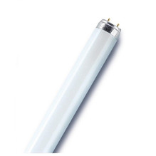 Liuminescencinė lempa Osram T8, 36W, G13, 3000K, 3250lm