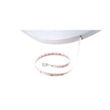 Momini Baby scale TinyTally Momini Baby scale TinyTally
