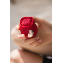 Beautifly Rose Glow Pleaser Self love Red Beautifly Rose Glow Pleaser Self love Red