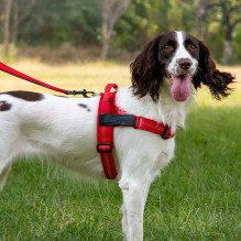 Dog harness REFLECTIVE SILK size XS red