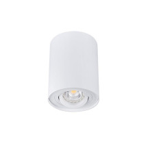 CEILING LIGHT POINT FITTING...