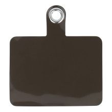 Phone insert for pendant /...