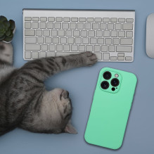 Case for iPhone 16 PLUS Silicone 2mm compatible with MagSafe mint