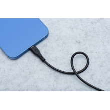 Cable USB C to USB C Blue Star 3A 60W ECO 2 m PJ73-14-3 black