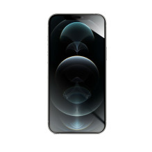 Hybrid glass to iPhone XS MAX / 11 PRO MAX Forcell Flexible 5D black