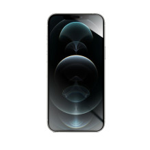 Hybrid glass to iPhone 12 PRO MAX Forcell Flexible 5D black