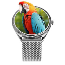 Smartwatch TITMO O-170 (AMOLED, bluetooth call, stainless steal silver mesh strap) silver