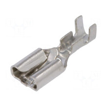 Terminal: flat, 6.3 mm, 0.8...